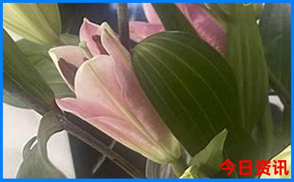 宜昌溶洞景点大全